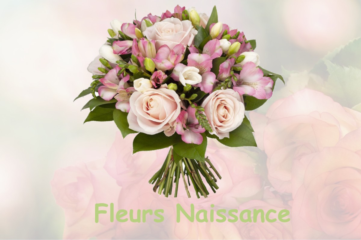 fleurs naissance SILLANS-LA-CASCADE