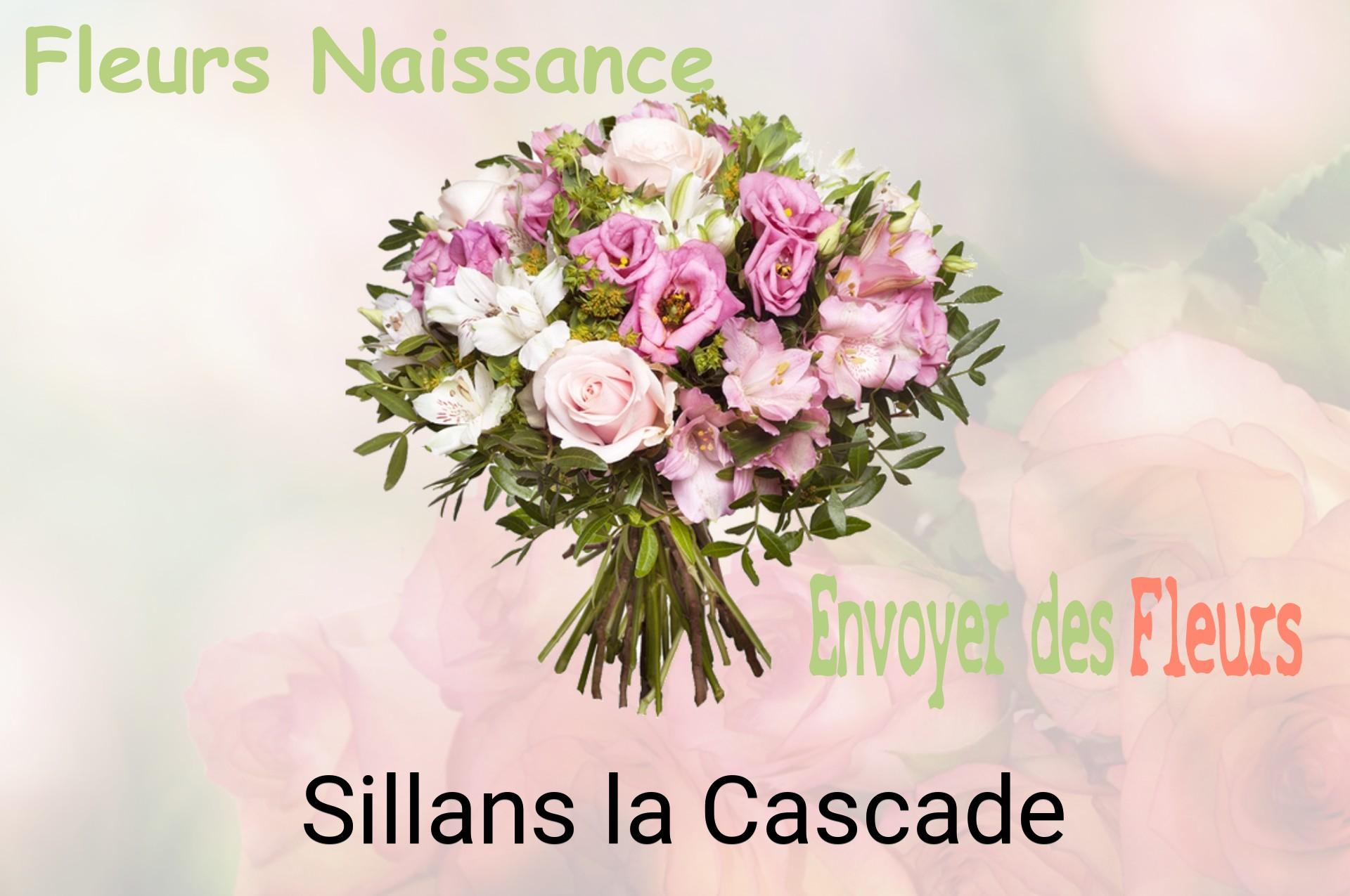 Bouquet de fleurs de naissance livré à Sillans-la-Cascade