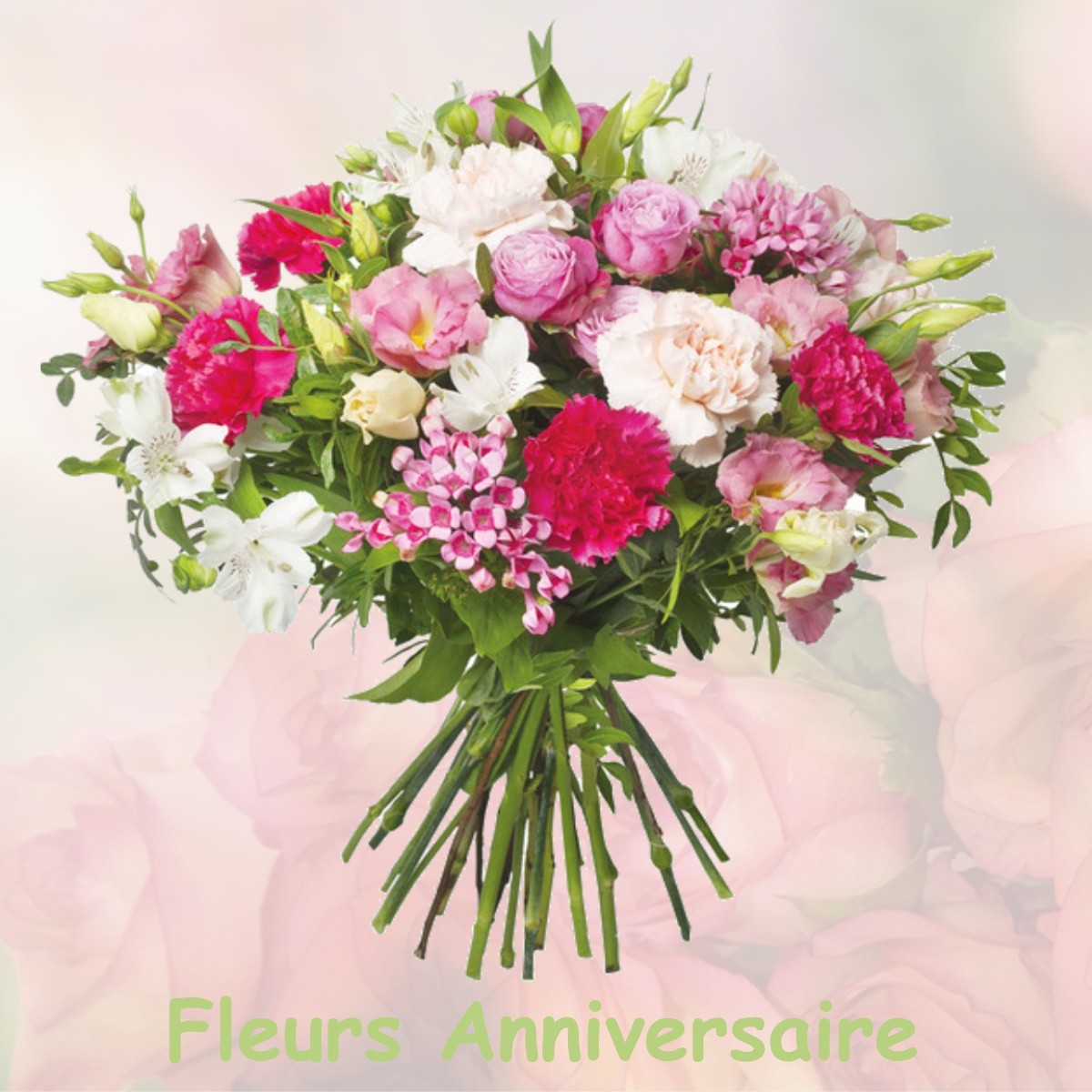fleurs anniversaire SILLANS-LA-CASCADE