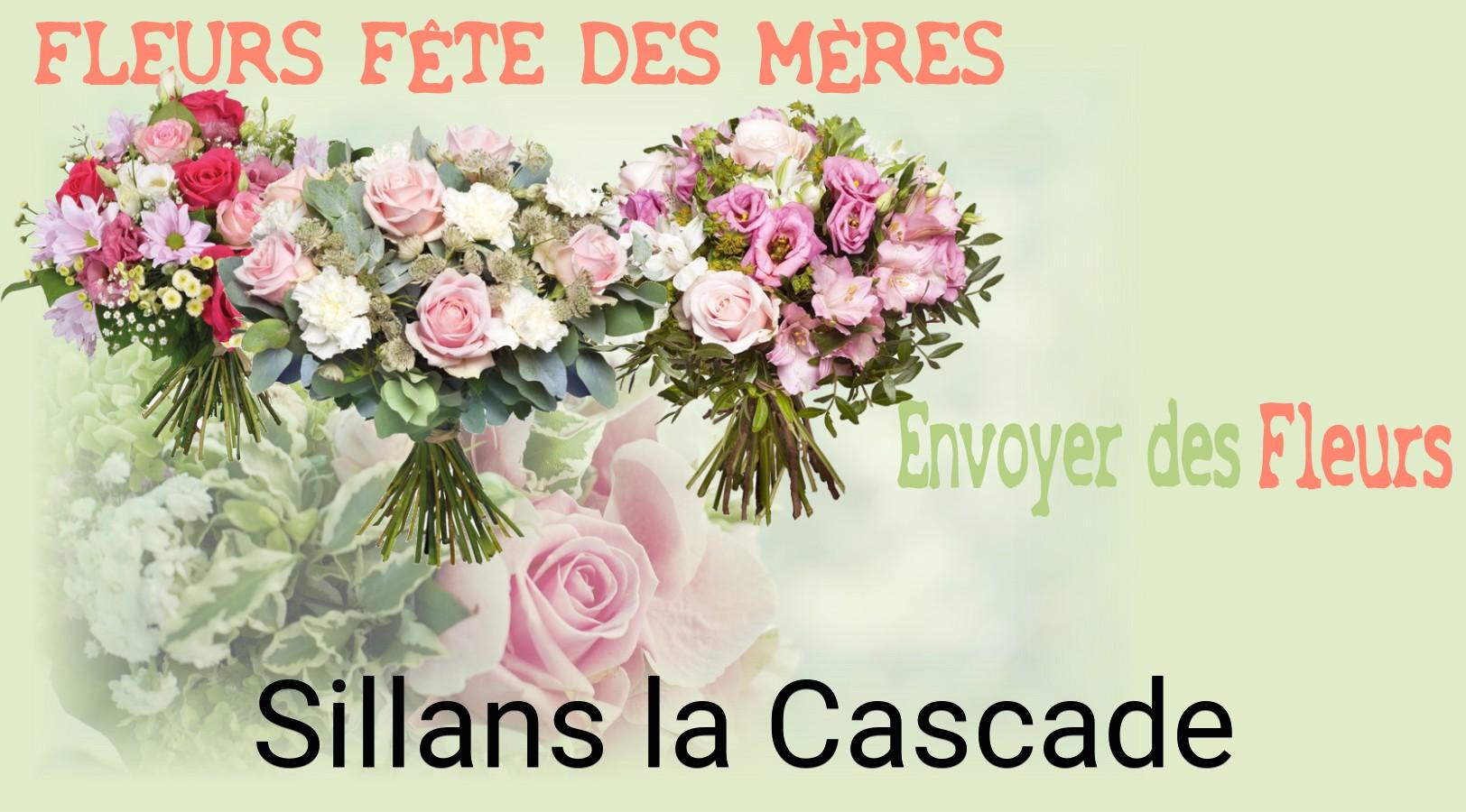 Bouquet de Fête des Mères livré à Sillans-la-Cascade